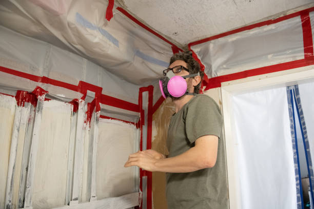 Mold Odor Removal Services in Miami, AZ